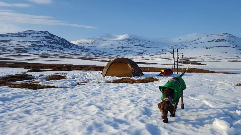 Hilleberg Allak 2 Tent - Green