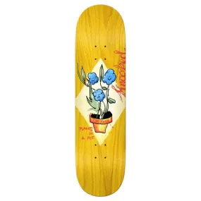 Krooked Skateboards Tom Knox Blue Flowers Deck 8.5