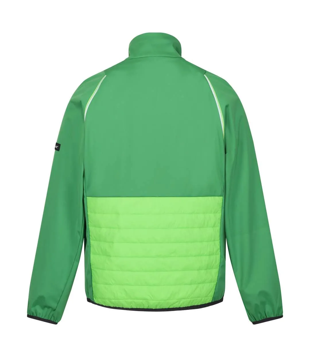 Mens steren hybrid soft shell jacket field green/jasmine green Regatta