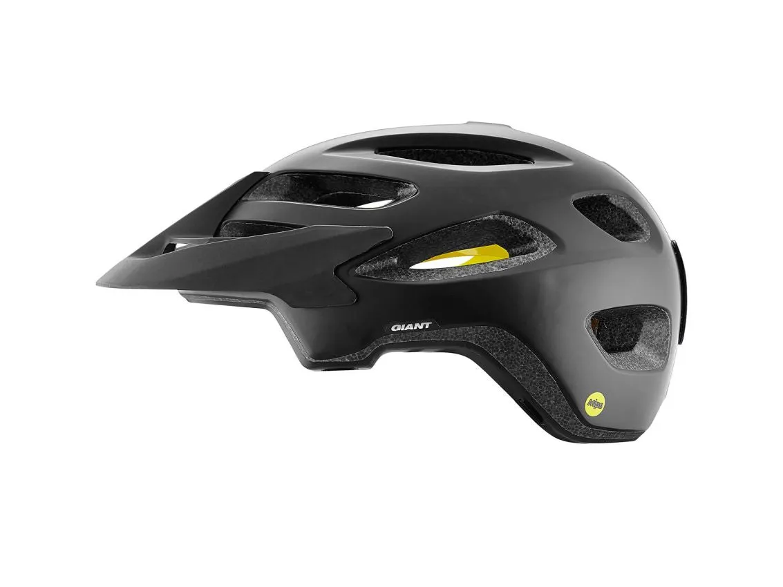 Roost MIPS Helmet