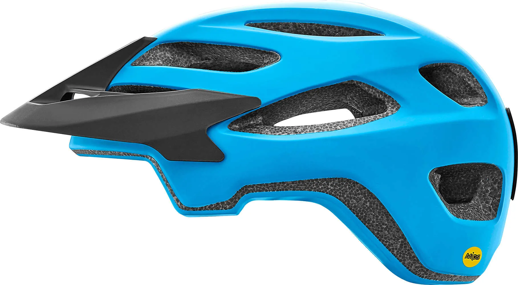 Roost MIPS Helmet